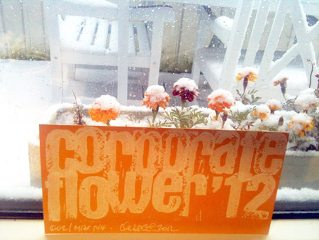 Corporate Flower Karte 2012 bei Naemi Reymann