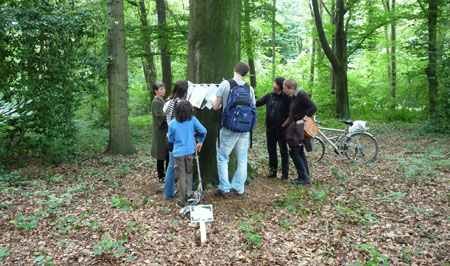 Baum der Geschichten