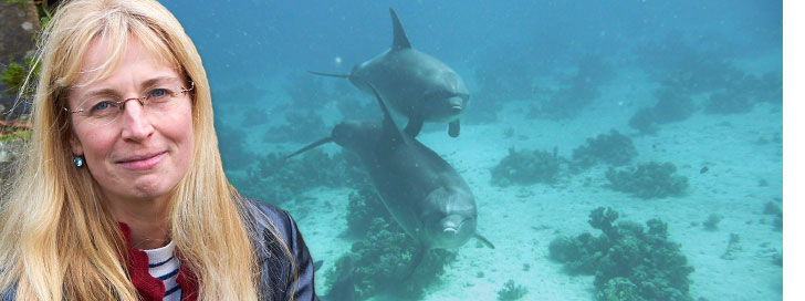 Wasser Camera Curiosa Naemi Reymann vor zwei wilden Delfinen (Hurghada Ägypten)