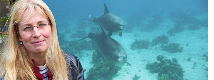 Wasser Camera Curiosa Naemi Reymann vor zwei wilden Delfinen (Hurghada Ägypten)